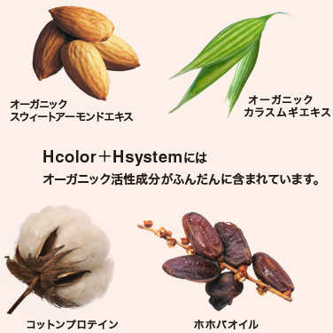 オーガニックカラー｜エイチカラー｜ORGANIC｜SALON｜ENGARO｜OSAKA